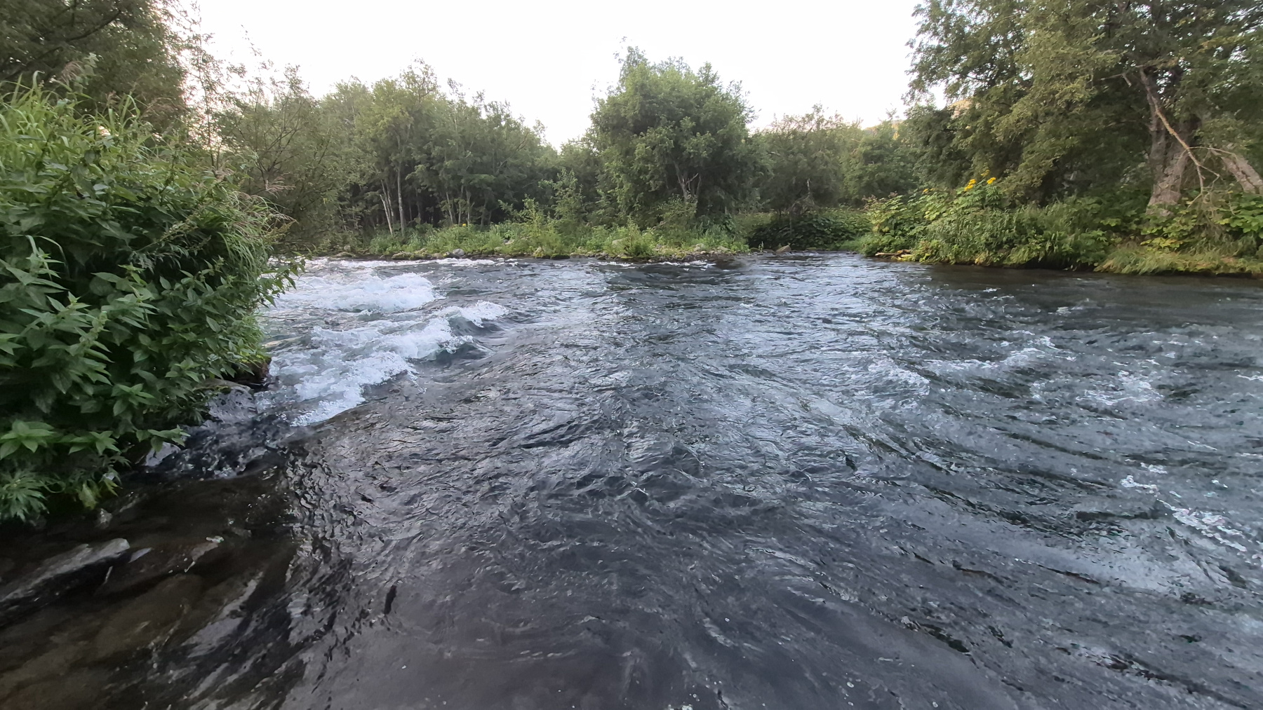 20260826_220935.jpg