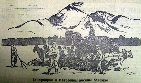 630_071.jpg