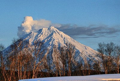 img_2130_2.jpg
