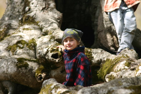 04.jpg