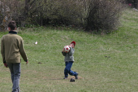 05.jpg