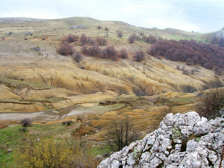 111.jpg