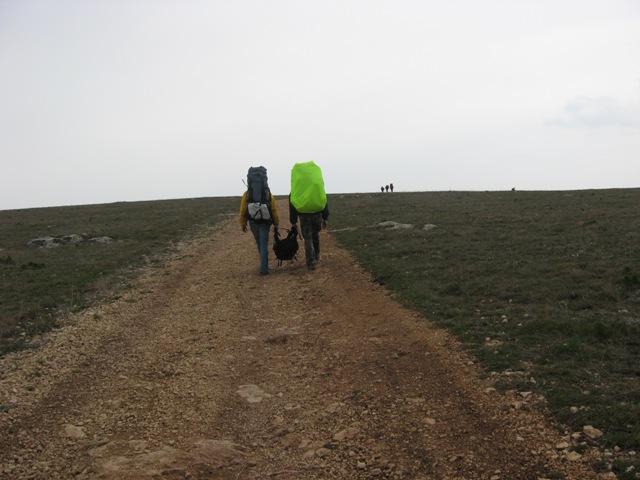 img_3718.jpg