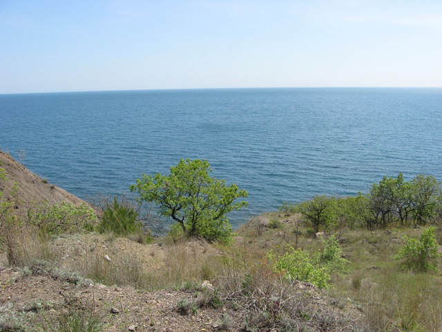 img_3778.jpg