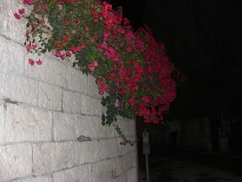 01.jpg