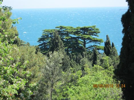 749.jpg