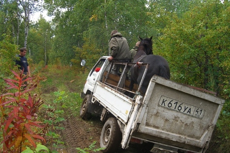 cimg7482.JPG