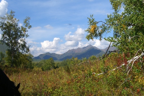 cimg7530.JPG