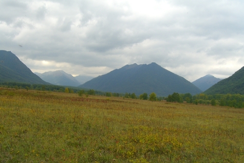 cimg7542.JPG