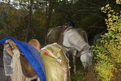 cimg7548.JPG