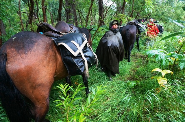 khangar_2013_268.jpg