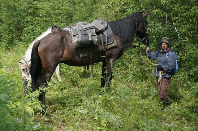 khangar_2013_75.jpg
