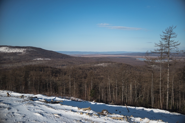 dsc_9113.jpg