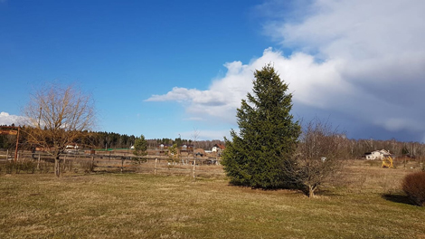 349.jpg