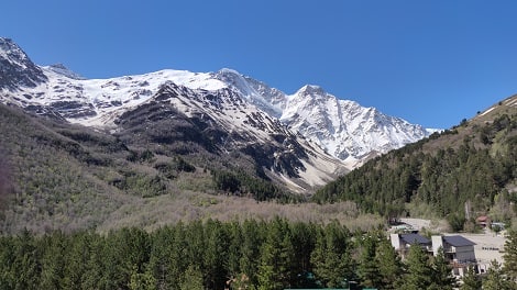 42495462-4eb2-43a4-ae95-e1731ce581c0.jpg
