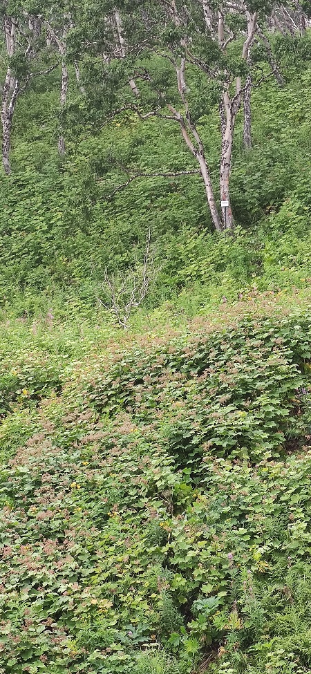 img_20220814_154252.jpg