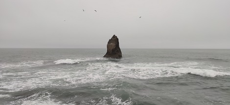 img_20220814_161541.jpg