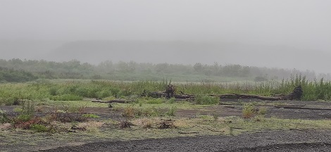 img_20220815_142822.jpg