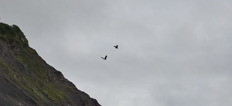 img_20220816_123631.jpg