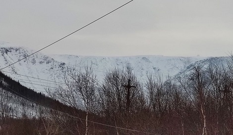 870.jpg